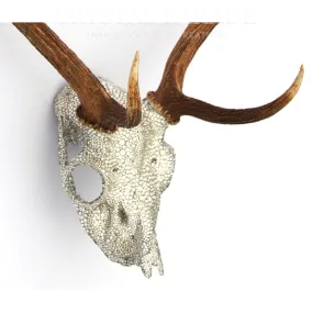 Crystallization Service Per Half Hour