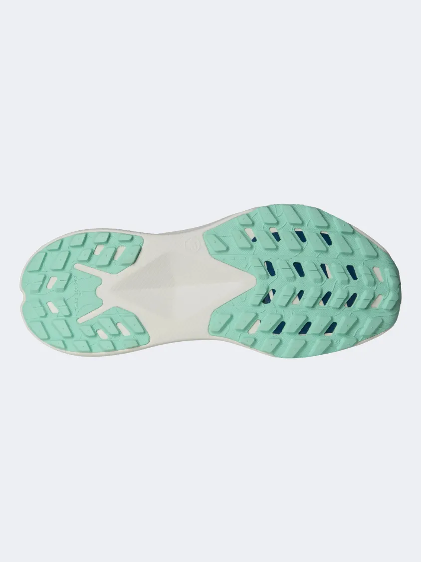 The North Face Altamesa 300 Women Trail Runn Sneakers Blue